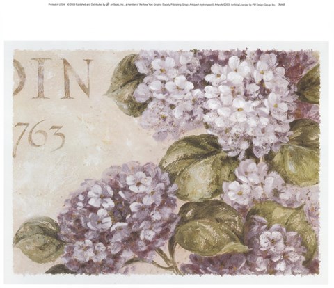 Framed Antiqued Hydrangeas II Print