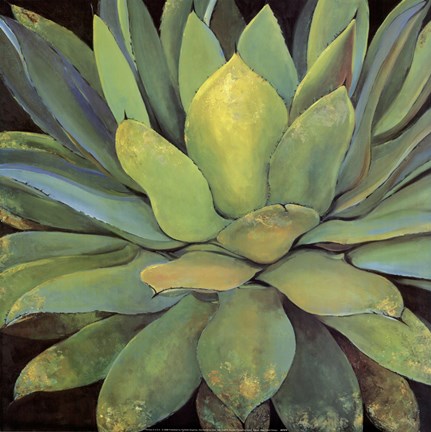 Framed Agave Print