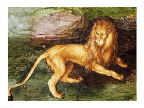 Framed Lion Print
