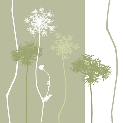 Framed Queen Anne's Lace Print