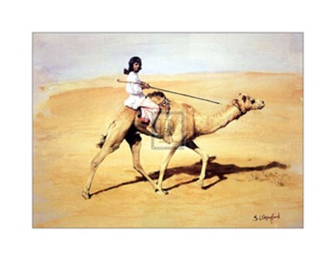 Framed Bedouin Rider with Racing Camel (Le) Print
