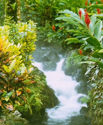Framed Waterfall, Tabacon, Costa Rica Print