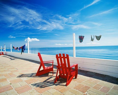 Framed Cape Cod Print