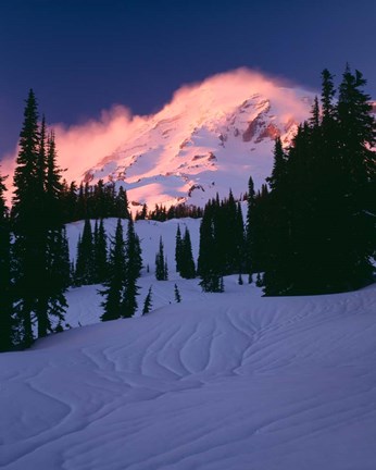 Framed Mt Rainier National Park, Washington State Print