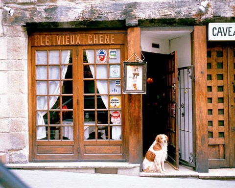 Framed Entrance to Paris, France Print