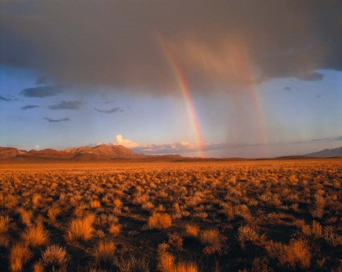 Framed Nevada Desert Rainbow Print