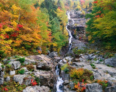 Framed White Mountains National Forest Print
