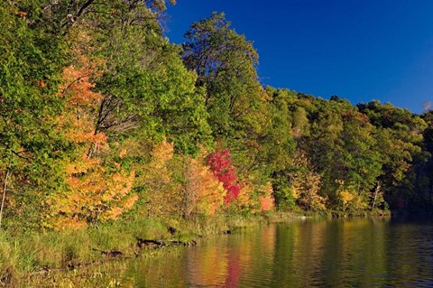 Framed Pillsbury State Forest, Minnesota Print