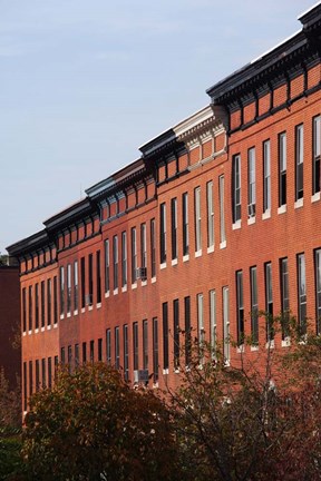 Framed Row Houses in the City, Bolton Hill, Baltimore, Maryland Print