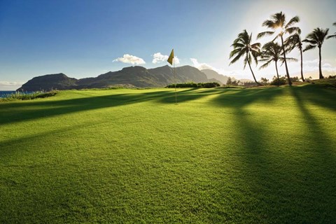 Framed Golf Course, Kauai Lagoons, Kauai, Hawaii Print