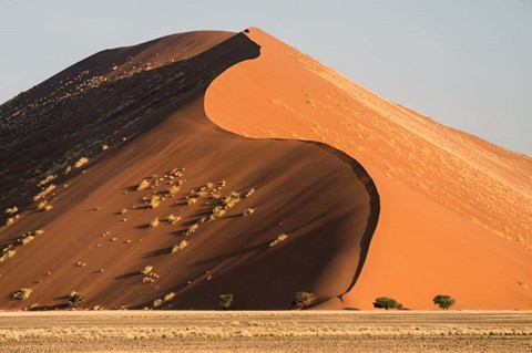 Framed Sand Dune, Namib Desert, Namib-Naukluft National Park Print