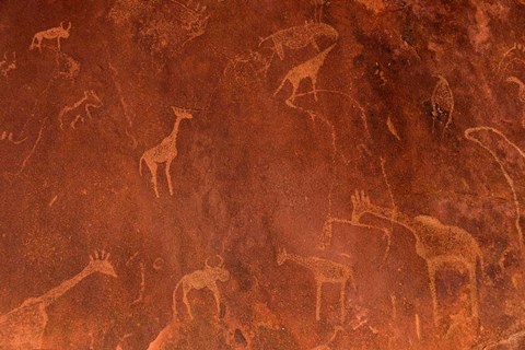 Framed Cave Paintings by Bushmen, Damaraland, Namibia Print