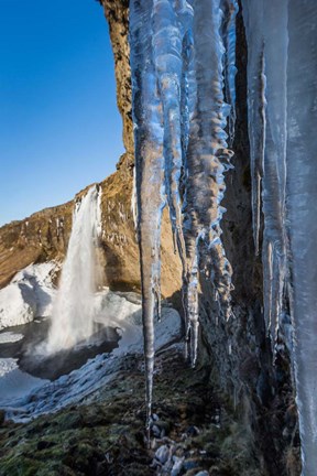 Framed Seljalandsfoss Waterfall in the Winter, Iceland Print