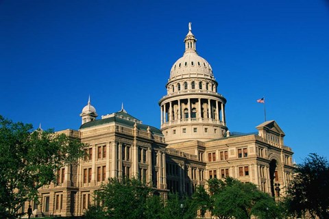 Framed State Capitol Building, Austin, TX Print