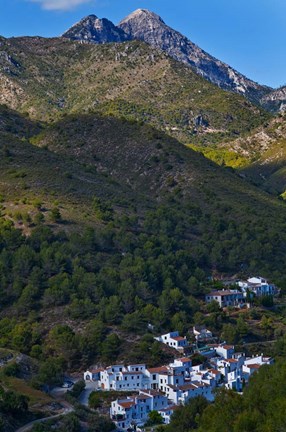 Framed El Acebuchal, Malaga, Spain Print