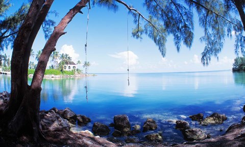 Framed Rope Swing Over Water, Florida Keys Print