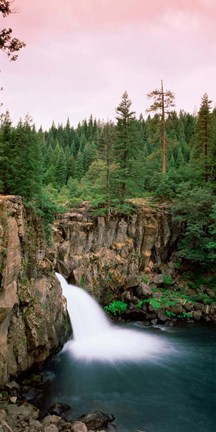 Framed Forest Waterfall, Shasta, California Print