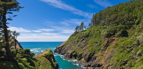 Framed Heceta Head Lighthouse Print