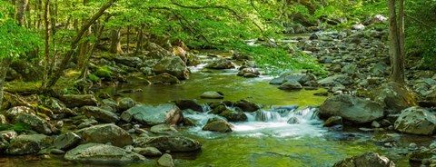 Framed Creek in Great Smoky Mountains National Park, Tennessee Print