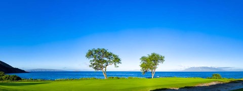 Framed Makena Golf Course, Hawaii Print