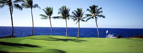 Framed Golf Course, Big Island HI Print