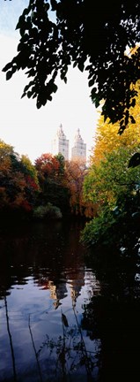 Framed Central Park, Manhattan, New York City Print