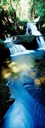 Framed Waterfall in Hilo, HI Print