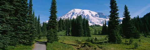 Framed Mt. Rainier National Park, Washington State Print