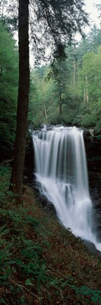 Framed Dry Falls, Nantahala National Forest, Macon County, North Carolina Print