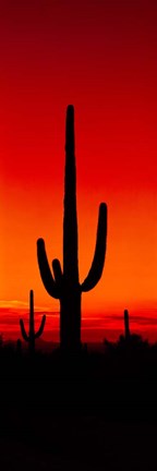 Framed Silhouette of Saguaro Cactus, Arizona Print