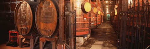 Framed Sonoma Wine Country, CA Print