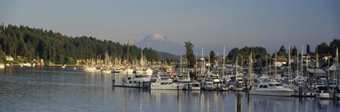 Framed Gig Harbor, Pierce County, Washington State Print