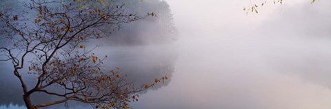 Framed Lake Vesuvius, Wayne National Forest, Ohio, Print