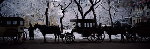 Framed Horse Drawn Carriages, Chicago, Illinois Print