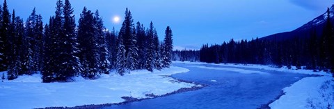 Framed Moon Rising Above The Forest, Banff National Park, Alberta, Canada Print