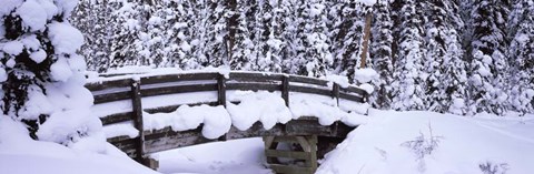 Framed Snowy Bridge in Banff National Park, Alberta, Canada Print