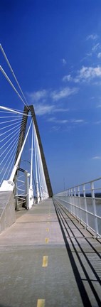 Framed Arthur Ravenel Jr. Bridge, Cooper River, South Carolina Print