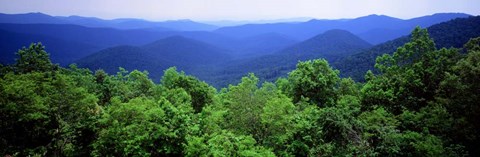 Framed Smoky Mountain National Park, Tennessee Print