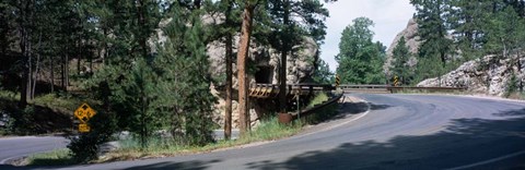 Framed Winding Road SD Print