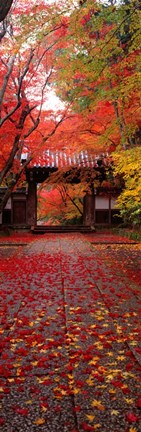 Framed Komyoji Temple, Kyoto, Japan Print