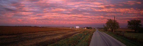 Framed Road in Illinois Print