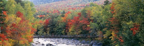 Framed White Mountain National Forest, NH Print