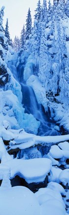 Framed Manning Park, British Columbia, Canada Print