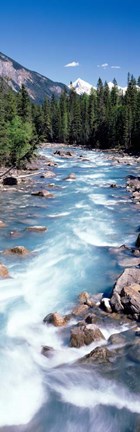 Framed Yoho River, British Columbia, Canada Print