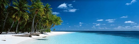 Framed Beach Maldives Print