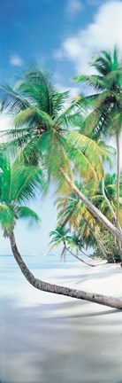 Framed Pigeon Point, Tobago Print