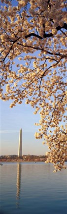 Framed Washington DC Print