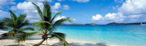 Framed Salomon Beach, US Virgin Islands Print