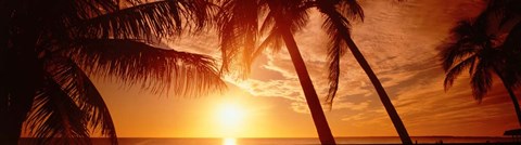 Framed Fort Meyers Florida Sunset Print