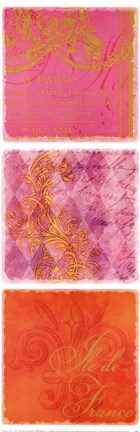 Framed Sorbet Script Paris I Print